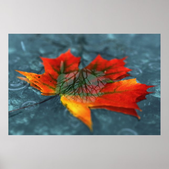 Reflektion Poster (Vorne)