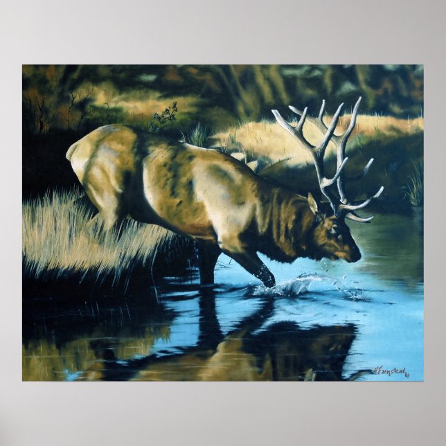 Reflektion Poster (Vorne)