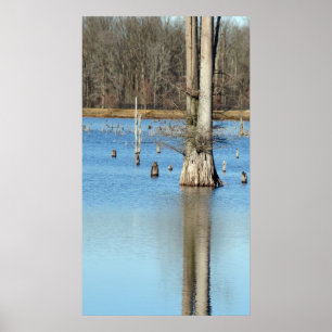 Reflektion Poster