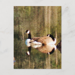 Reflektion Postkarte