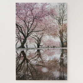 Reflektionen des Kirschblosos