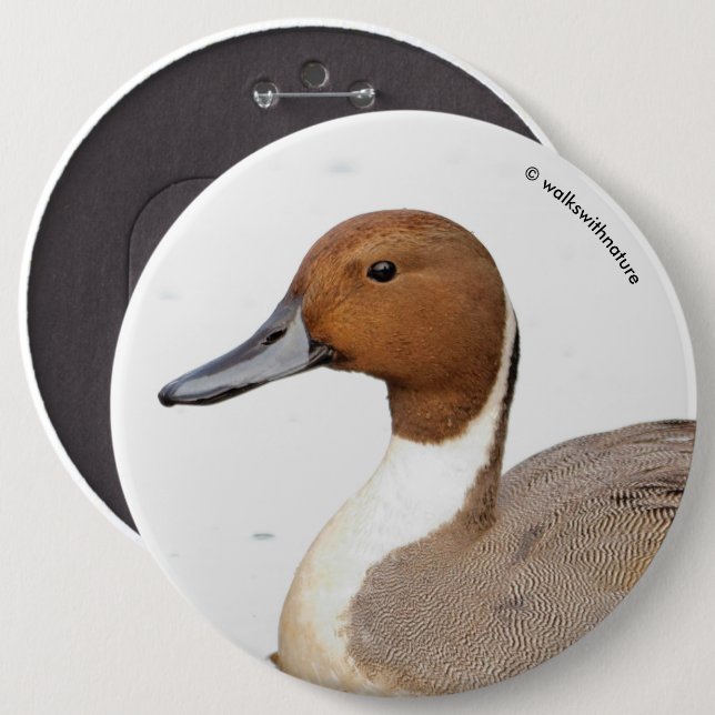 Reflektionen einer Nördlichen Nadelente Button (Vorne & Hinten)
