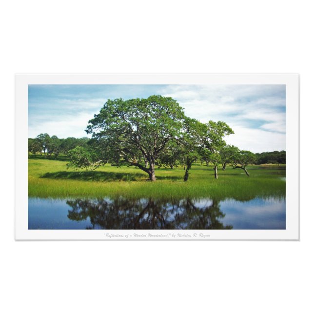 "Reflektionen eines bewaldeten Wunderlands", Natur Fotodruck (Vorne)