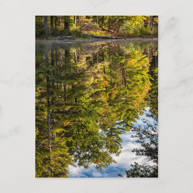 Reflektionen im Rotadlersee | Weiße Berge Postkarte (Vorderseite)