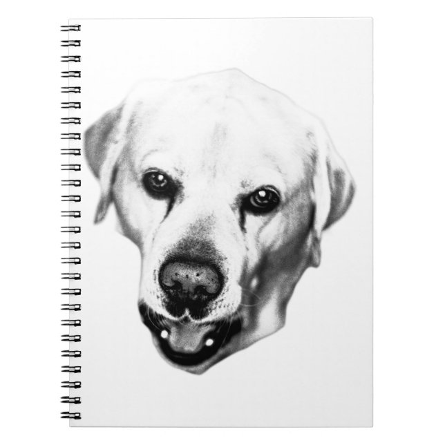 Reflektionen in der notizblock (Vorderseite)