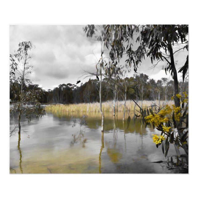 Reflektionen unter grauem Himmel Fotodruck (Vorne)