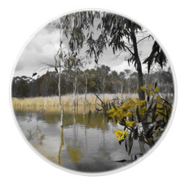 Reflektionen unter grauem Himmel Keramikknauf