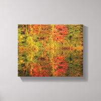 Reflektionen von Herbstbaumen