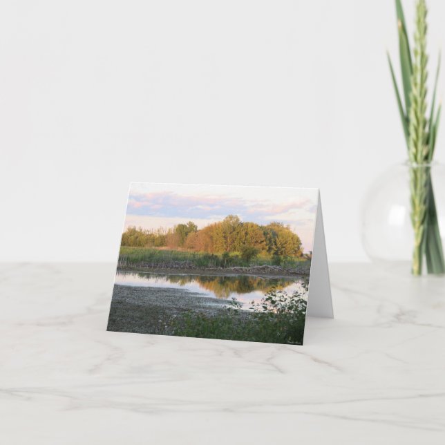 Reflektionsbaume - leere Grußkarte Karte (Vorderseite)