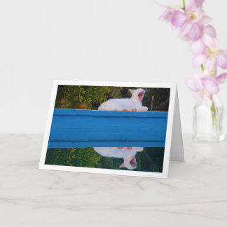 Reflektionskarte für die weiße Katze Karte