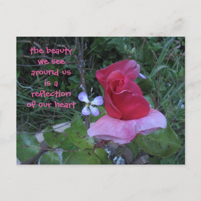 Reflektionspostkarte Postkarte (Vorderseite)