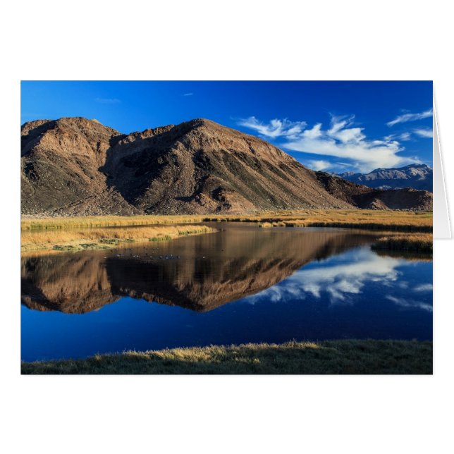 Reflektive Isolation (Vorderseite (Horizontal))