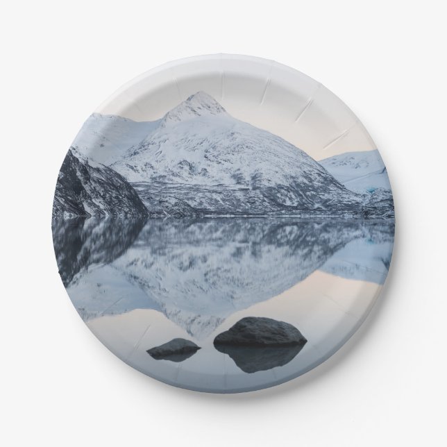 Reflektiver Portage Lake Pappteller (Vorderseite)