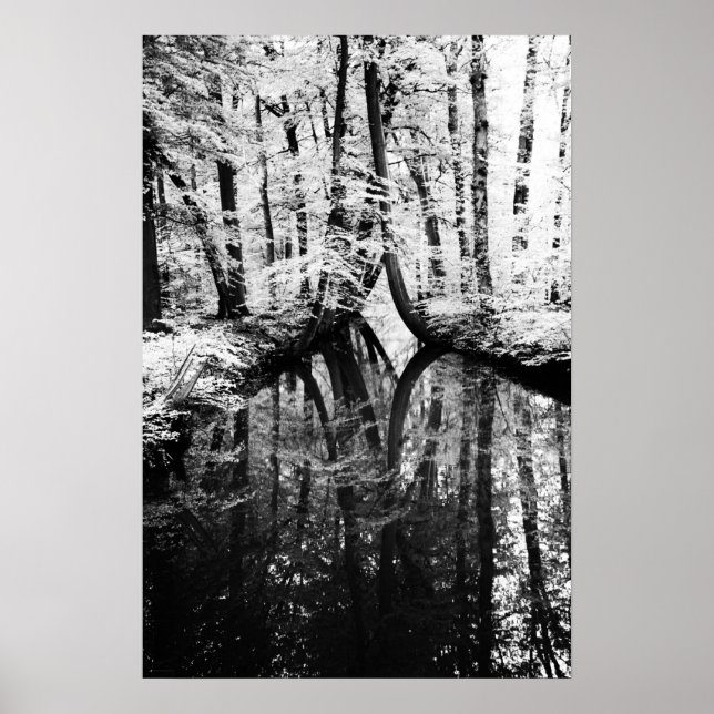 Reflektives Kontrastwapcst Poster (Vorne)