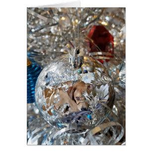 Reflet de l'ampoule en argent