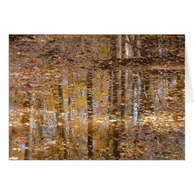 Réflexion dans le ruisseau Still au parc Greenbelt (Devant horizontal)