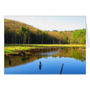 Réflexion de ciel bleu