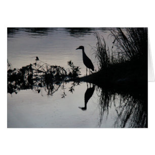 Réflexion de héron sur la rive au coucher du