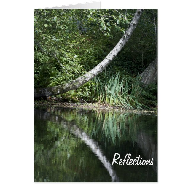 Réflexion de lac (Devant)