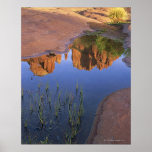 Reflexion des Kathedralen-Felsens, Sedona, Arizona Poster