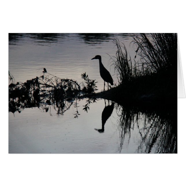Reflexion des Reihers auf Riverbank am (Vorderseite (Horizontal))