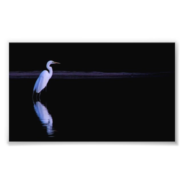 Reflexion eines Egrets Fotodruck (Vorne)