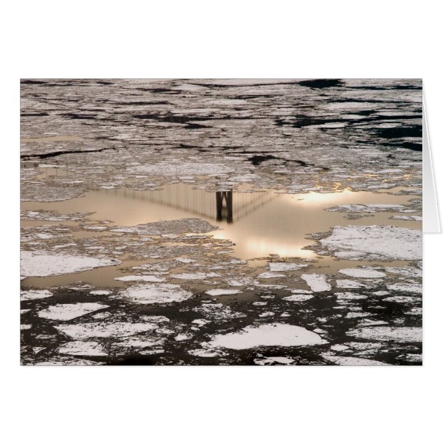 Réflexion En Or (Devant horizontal)