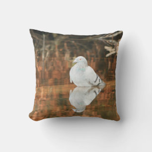 Réflexion - pigeon décorateur coussin