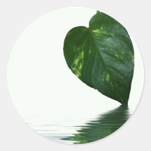 Reflexion über das Thema "Wasser" im grünen Leaf Runder Aufkleber