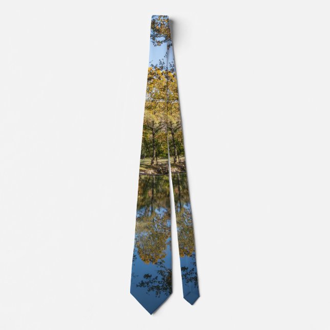 Reflexion über die Dogwood Creek Neck Tie Krawatte (Vorderseite)