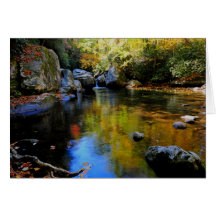 Reflexionen am großen Nebenfluss