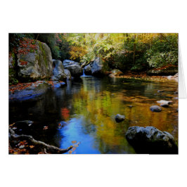 Reflexionen am großen Nebenfluss