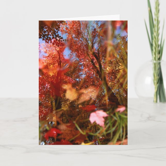 Reflexionen Karte (Vorderseite)