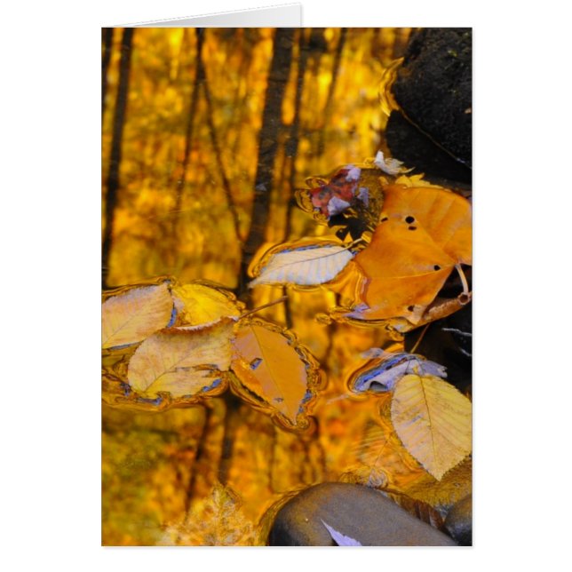 Réflexions d'or d'automne (Devant)