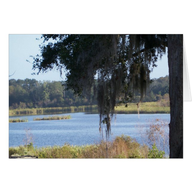 Réflexions estivales du lac sud (Devant horizontal)