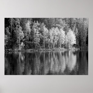 Reflexions-Plakat Poster