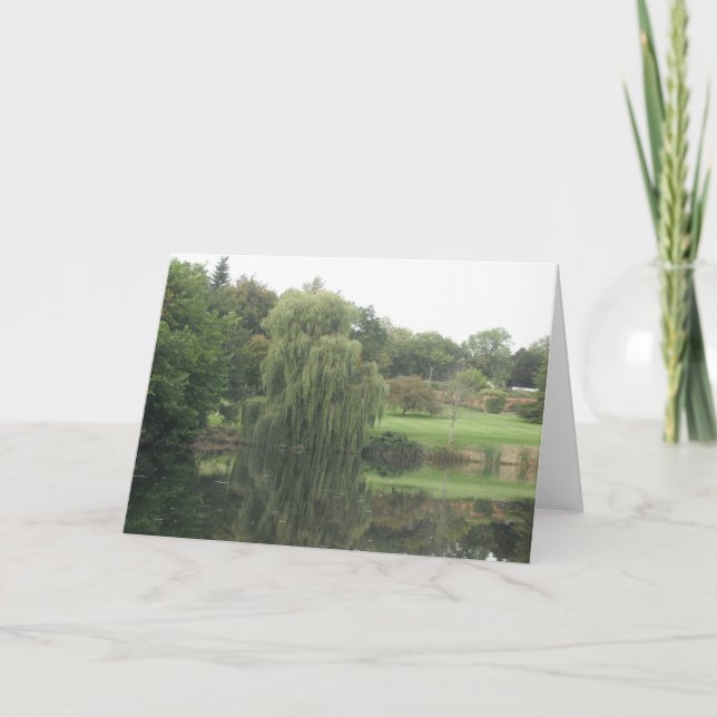 Réflexions - Willow plumant - Carte blanche (Devant)