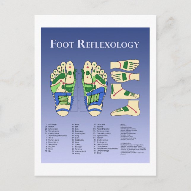 Reflexologie Diagramm - Blau Postkarte (Vorderseite)