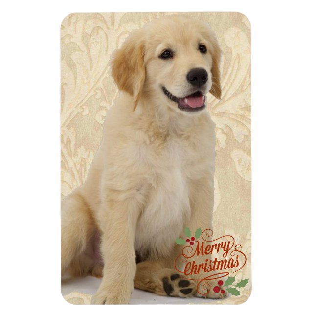 Refrigerator Magnet Pet's Modèle photo Christmas (Vertical)