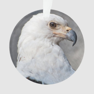 Regal American Bald Eagle Portrait Ornament