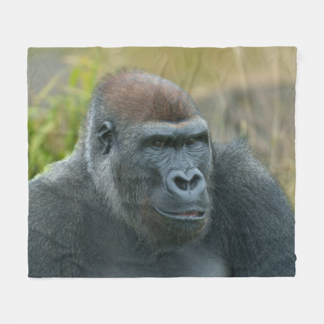 Regal Blackback Gorilla Fleecedecke (Vorderseite (Horizontal))