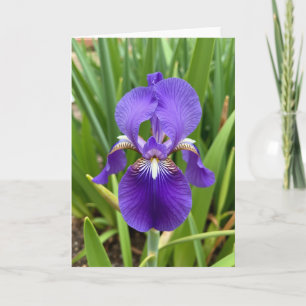 Regal Bloom Muttertagskarte Karte