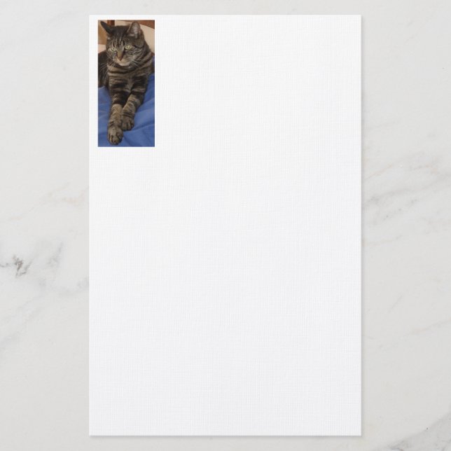 Regal Dave 5,5" x 8,5" Stationery Briefpapier (Vorderseite)