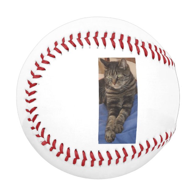 Regal Dave Baseball (Vorderseite Links)