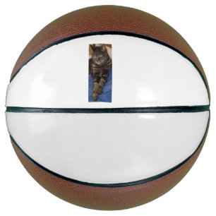 Regal Dave Basketball