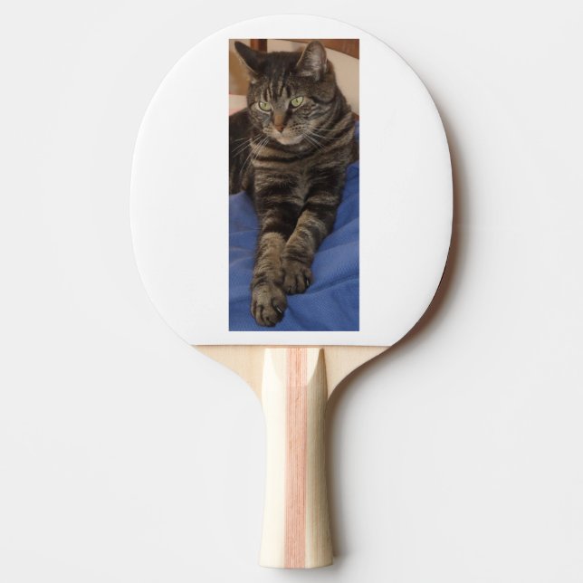 Regal Dave Black Backed Ping Pong Paddle Tischtennis Schläger (Vorderseite)