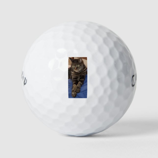 Regal Dave Callaway Warbird Golf Ball (Vorderseite)
