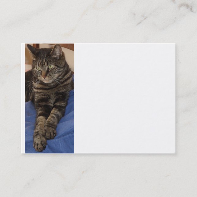 Regal Dave Chubby Business Card Visitenkarte (Vorderseite)