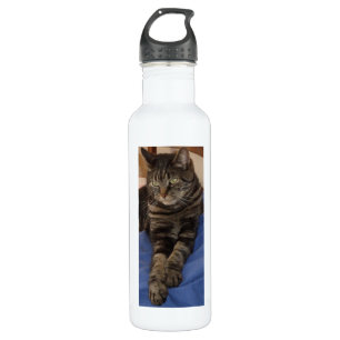 Regal Dave Custom Water Flasche (710 ml), weiß Trinkflasche
