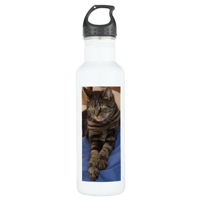 Regal Dave Custom Water Flasche (710 ml), weiß Trinkflasche (Vorderseite)
